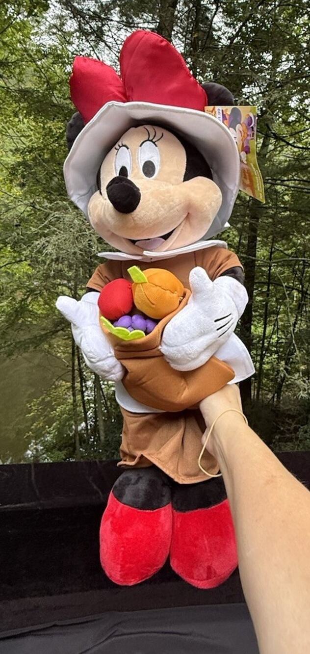Disney Fall Thanksgiving Minnie Mouse Pilgrim Harvest Door Greeter 24” MWT